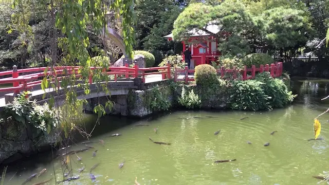 三嶋大社の池