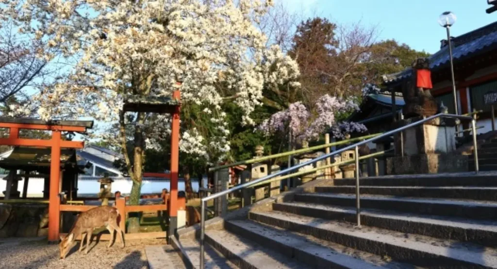 氷室神社