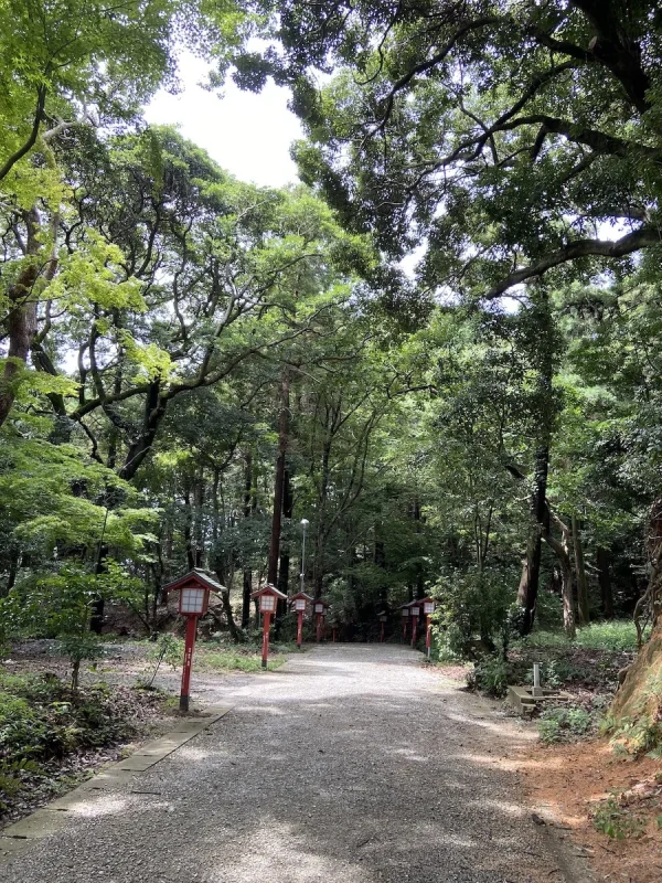 薬師神社の山道