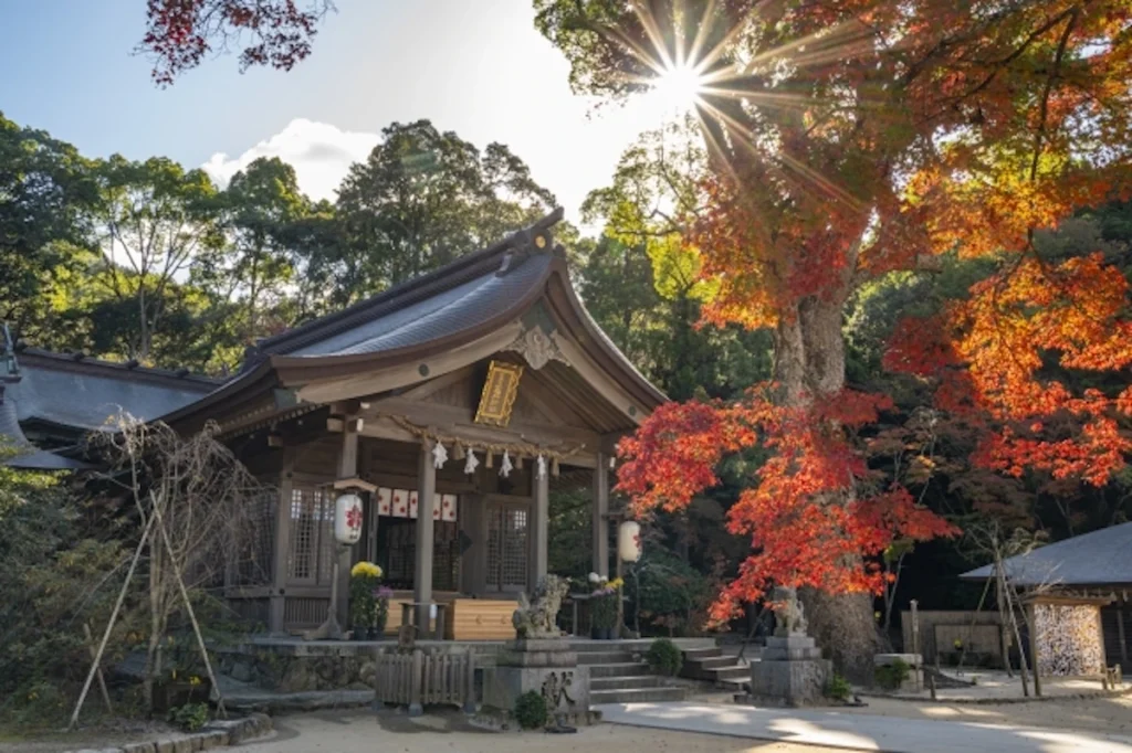 竈門神社本殿と紅葉