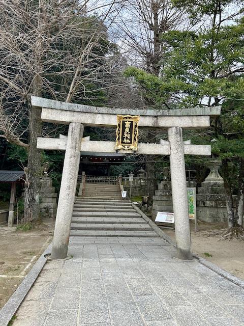 屋外, ベンチ, 公園, 木製 が含まれている画像

自動的に生成された説明